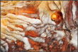 Oeuvre oeil de petra -2 de ch. manteau