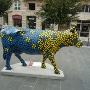 Oeuvre cow constitution de muller
